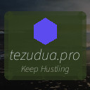 tezudua.pro