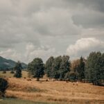 resized_20_api